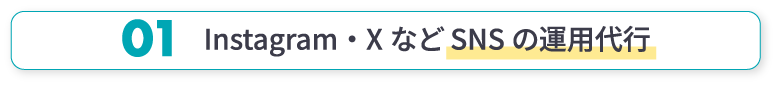 01 InstagramやXなどSNSの運航代用